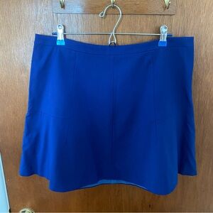 J. Crew Blue Skirt